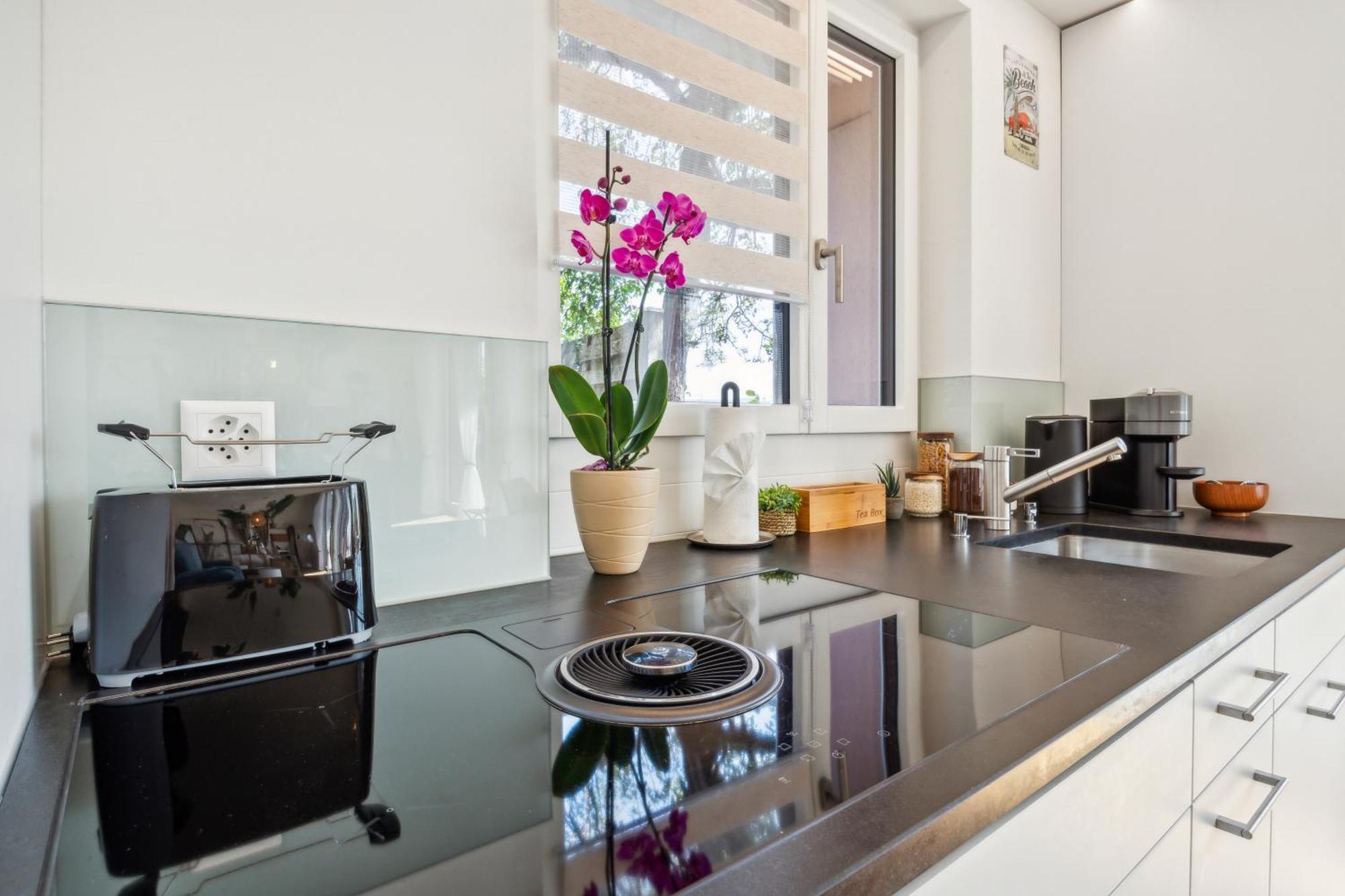 Business I Family Apartment I 1-4 Personen - Aare Blick, Nahe Altstadt I Beamer - 99" Leinwand I Terrassen Lounge Und Parkplatz Brugg  Exteriér fotografie